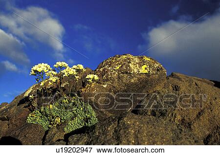 Stock Photo - blue, day, clouds, cloud, aichner. Fotosearch
