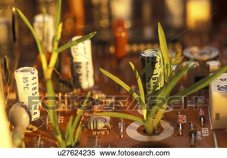 rechner, bauteil, bauteile, Bernhard, board View Large Photo Image Stock Photography - rechner, bauteil, bauteile, Bernhard, board. Fotosearch