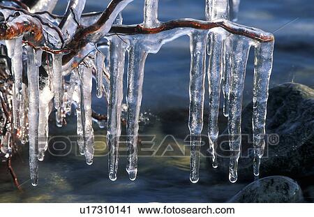 Stock Image - ice, bregenz, driftwood, cold, calf, icicle, austria. Fotosearch