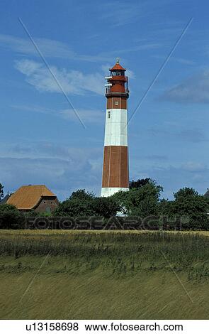 Stock Photo - fehmarn, cottage, day, country house, country, grass, architecture. Fotosearch