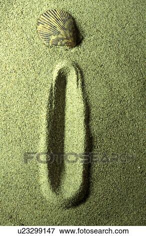 Stock Photo - buchstabe, schriftzeichen, alphabetic, beige, Bernhard, bivalvia. Fotosearch
