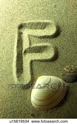 Picture - schriftzeichen, buchstabe, alphabetic, beige, Bernhard, bivalvia. Fotosearch