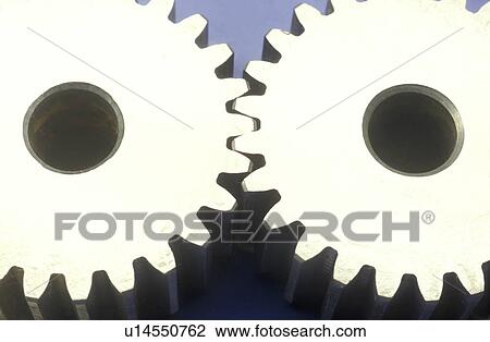 Stock Image - Bernhard, business, CLOSE, close-up, cow. Fotosearch