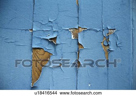 background, Bernhard, blue, CLOSE, close-up View Large Photo Image Picture - background, Bernhard, blue, CLOSE, close-up. Fotosearch