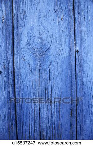 background, Bernhard, blue, CLOSE, close-up View Large Photo Image Stock Photo - background, Bernhard, blue, CLOSE, close-up. Fotosearch
