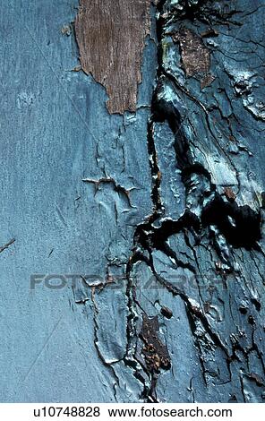 background, Bernhard, broken View Large Photo Image Stock Photo - background, Bernhard, broken. Fotosearch