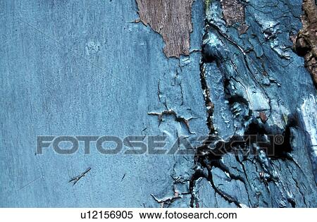background, Bernhard, broken View Large Photo Image Stock Photography - background, Bernhard, broken. Fotosearch