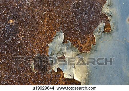 background, Bernhard, brown, CLOSE, close-up, cow View Large Photo Image Picture - background, Bernhard, brown, CLOSE, close-up, cow. Fotosearch