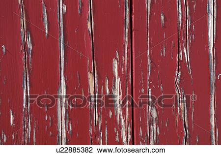background, Bernhard, CLOSE, close-up View Large Photo Image Stock Image - background, Bernhard, CLOSE, close-up. Fotosearch