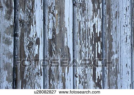 background, Bernhard, CLOSE, close-up View Large Photo Image Stock Photo - background, Bernhard, CLOSE, close-up. Fotosearch