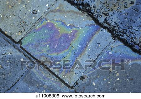 Stock Photography - background, Bernhard, CLOSE, close-up, cow, environment. Fotosearch