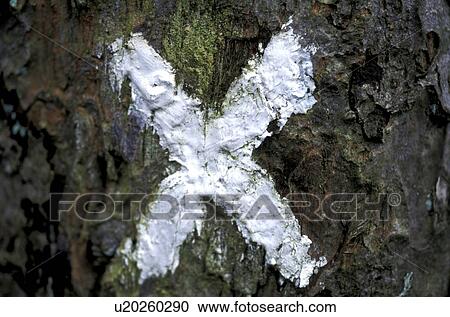 Stock Image - buchstabe, schriftzeichen, alphabetic, bark, Bernhard, character. Fotosearch