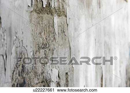 concrete, mildew, house wall, renovate, fragile, decay, destroyed View Large Photo Image Stock Image - concrete, mildew, house wall, renovate, fragile, decay, destroyed. Fotosearch