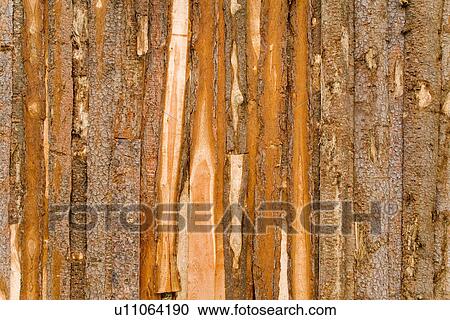 nature, background, day, brown, beige, alfred View Large Photo Image Stock Image - nature, background, day, brown, beige, alfred. Fotosearch