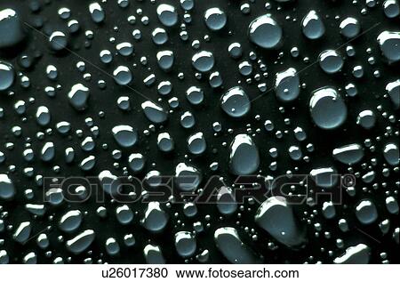 background, Bernhard, black, circle, CLOSE, close-up View Large Photo Image Stock Image - background, Bernhard, black, circle, CLOSE, close-up. Fotosearch