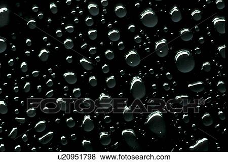 background, Bernhard, black, circle, CLOSE, close-up View Large Photo Image Stock Photo - background, Bernhard, black, circle, CLOSE, close-up. Fotosearch