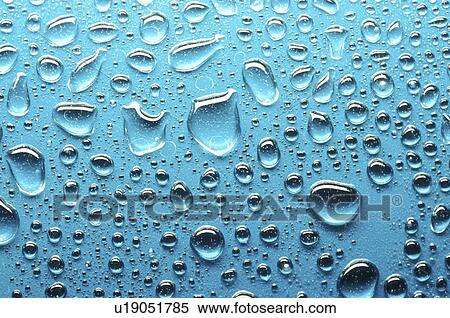 Stock Photography - background, Bernhard, blue, CLOSE, close-up, cow. Fotosearch