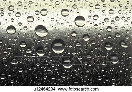 Picture - background, Bernhard, CLOSE, close-up, cow, dotted. Fotosearch
