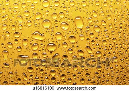 Stock Image - background, Bernhard, CLOSE, close-up, cow, drip. Fotosearch