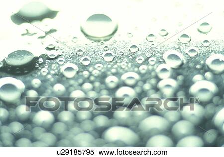 Stock Photography - background, Bernhard, CLOSE, close-up, cow. Fotosearch