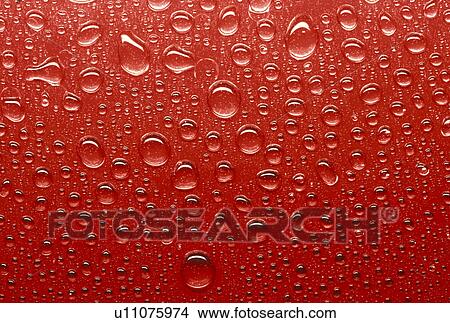 Picture - background, Bernhard, cow, dotted, drip, drop. Fotosearch