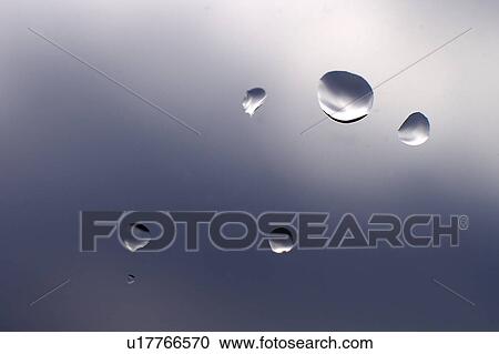 close-up, background, CLOSE, cellar, blauphoton, alexander View Large Photo Image Stock Image - close-up, background, CLOSE, cellar, blauphoton, alexander. Fotosearch