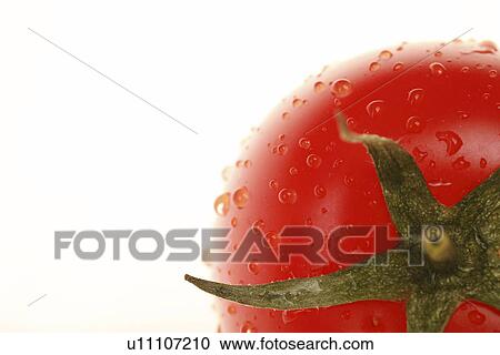 Stock Image - reif, freigestellt, tau, reifen, ueber, allemagne, angebaut. Fotosearch