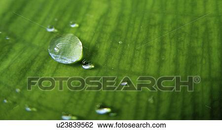 Stock Image - weber, abstract, Basel, Christian, drip, fresh. Fotosearch