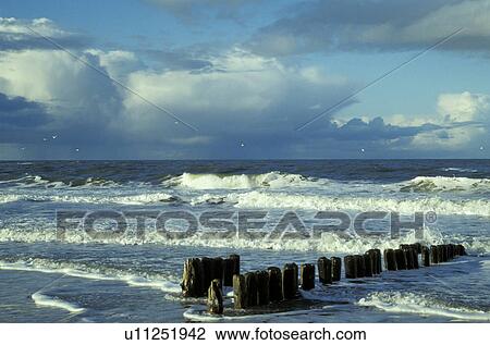 bad, baltic, Baltic Sea, banks, buhne, cloud, clouded View Large Photo Image Stock Image - bad, baltic, Baltic Sea, banks, buhne, cloud, clouded. Fotosearch