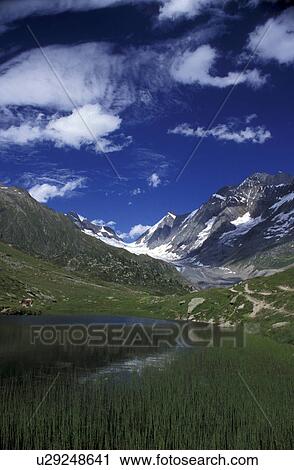 Stock Image - Bernhard, blue, cloud, clouds, cow, day. Fotosearch