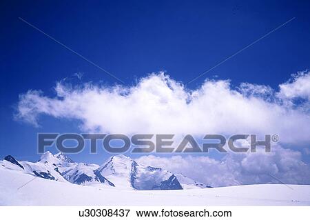 Stock Photo - Bernhard, blue, cloud, clouds, cow, day. Fotosearch