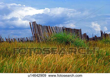blue, burkhard, day, fence, grass country, green View Large Photo Image Stock Photo - blue, burkhard, day, fence, grass country, green. Fotosearch