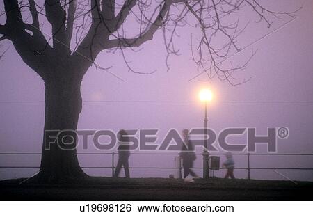 Stock Photograph - calf, austria, bregenz, banks, Austria, cold, adverse weather. Fotosearch