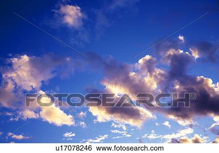 cow, background, cloudy, cloud, Bernhard, abenddaemmerung View Large Photo Image Stock Photograph - cow, background, cloudy, cloud, Bernhard, abenddaemmerung. Fotosearch
