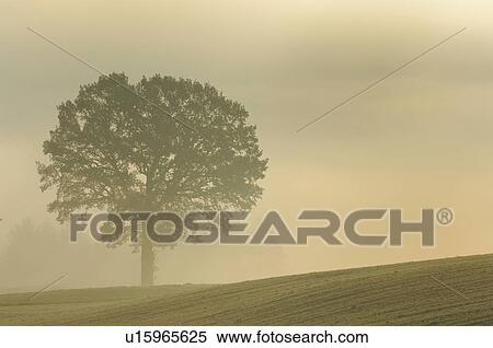 dusky, territory, mood, clime, realm, scenery, terrane View Large Photo Image Stock Photography - dusky, territory, mood, clime, realm, scenery, terrane. Fotosearch