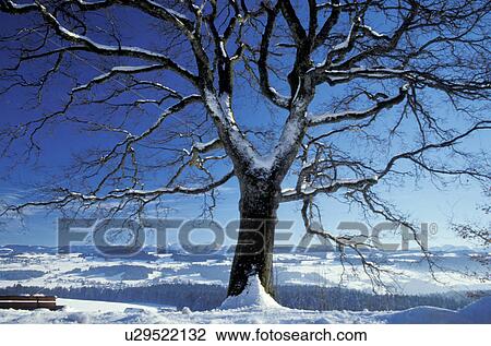 isolation, blue, empty, day, cold, abandoned View Large Photo Image Stock Image - isolation, blue, empty, day, cold, abandoned. Fotosearch