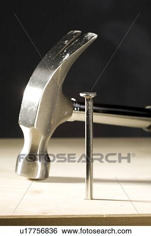 board, build, builder, carpenter, carpentry, centimeter, centimetre View Large Photo Image Stock Photograph - board, build, builder, carpenter, carpentry, centimeter, centimetre. Fotosearch