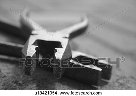 CLOSE, close-up, detail, details View Large Photo Image Picture - CLOSE, close-up, detail, details. Fotosearch