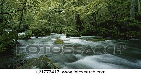 Clear Stream View Large Photo Image Stock Photo - Clear Stream. Fotosearch