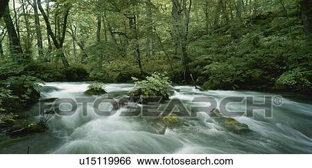 Stock Photograph - Clear Stream. Fotosearch