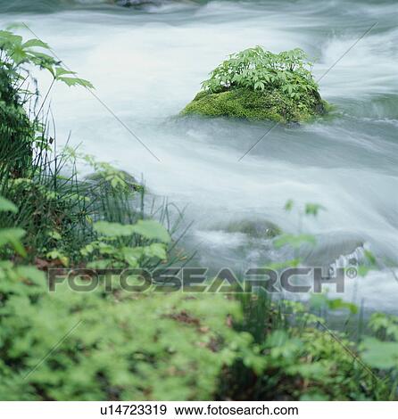 Fast River View Large Photo Image Stock Photo - Fast River. Fotosearch