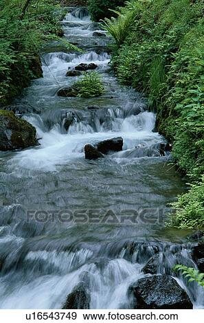 Rocky Stream View Large Photo Image Stock Photo - Rocky Stream. Fotosearch