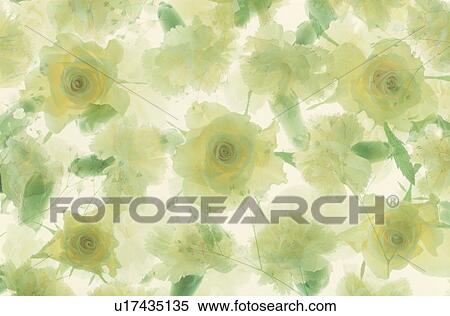 Close-up of attractive flowers View Large Photo Image Stock Photography - Close-up of attractive flowers. Fotosearch