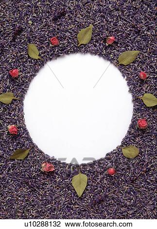 Stock Image - A circular frame formed by buds and flowers. Fotosearch