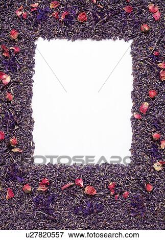 A frame formed by buds and flowers View Large Photo Image Stock Photo - A frame formed by buds and flowers. Fotosearch