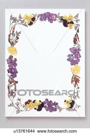 Picture - A frame of colorful flowers. Fotosearch