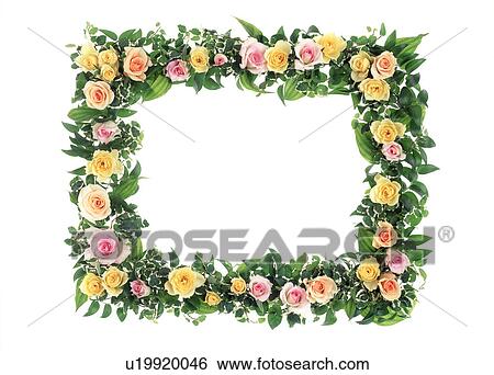 A frame of colorful flowers View Large Photo Image Stock Photograph - A frame of colorful flowers. Fotosearch