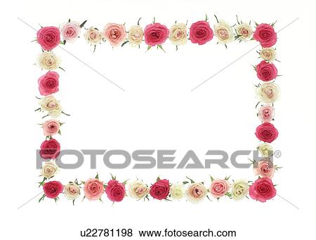 Stock Photo - A frame of colorful roses. Fotosearch