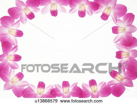 Stock Photo - A frame of pink flowers. Fotosearch