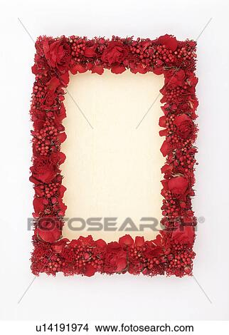 Picture - A frame of red flowers. Fotosearch